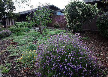 Photo fo District gardens in the spring.